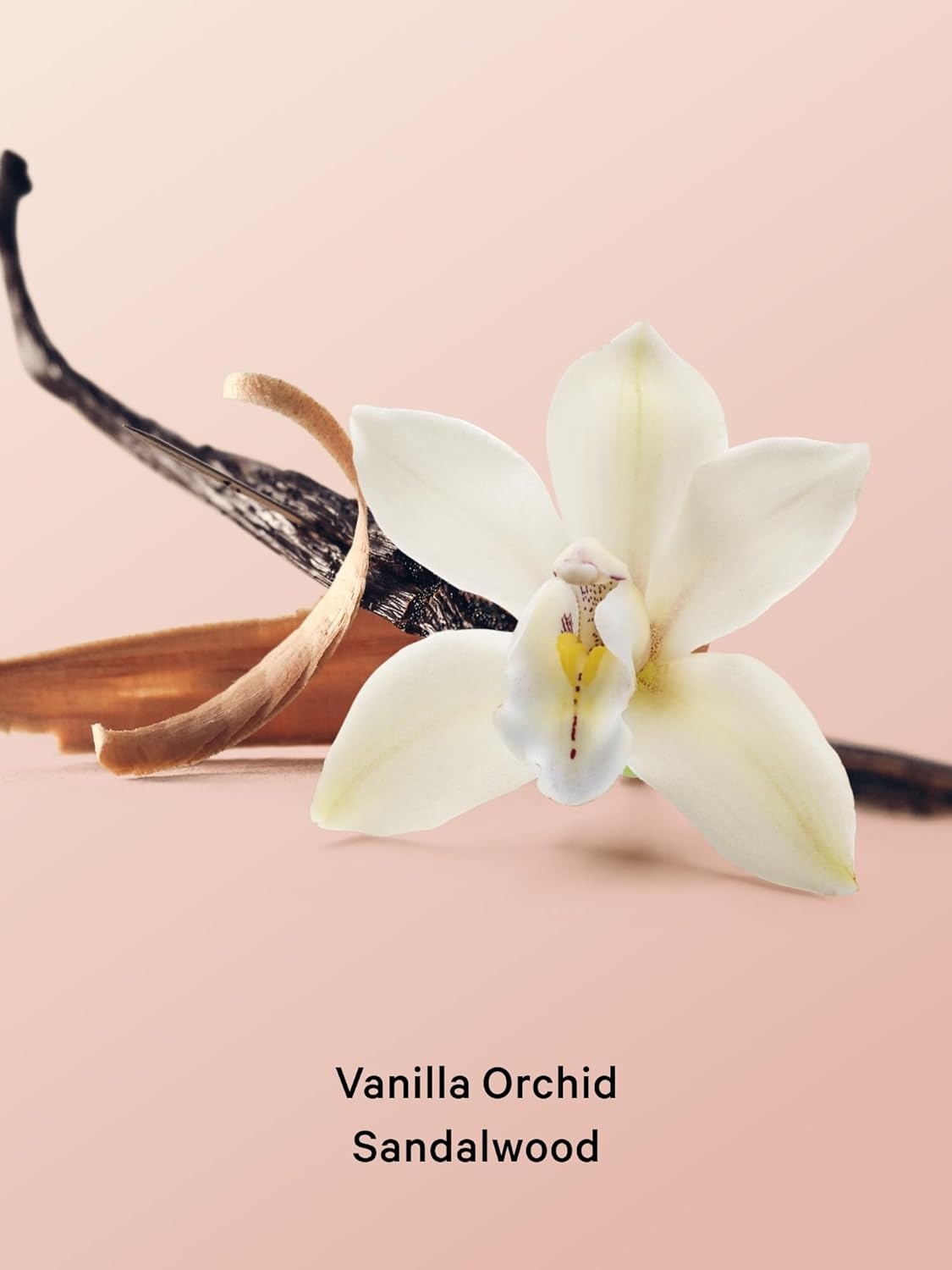 image:imageVictorias Secret 2 Piece Body Care Gift Set Coconut Milk RoseVanilla Orchid Sandalwood