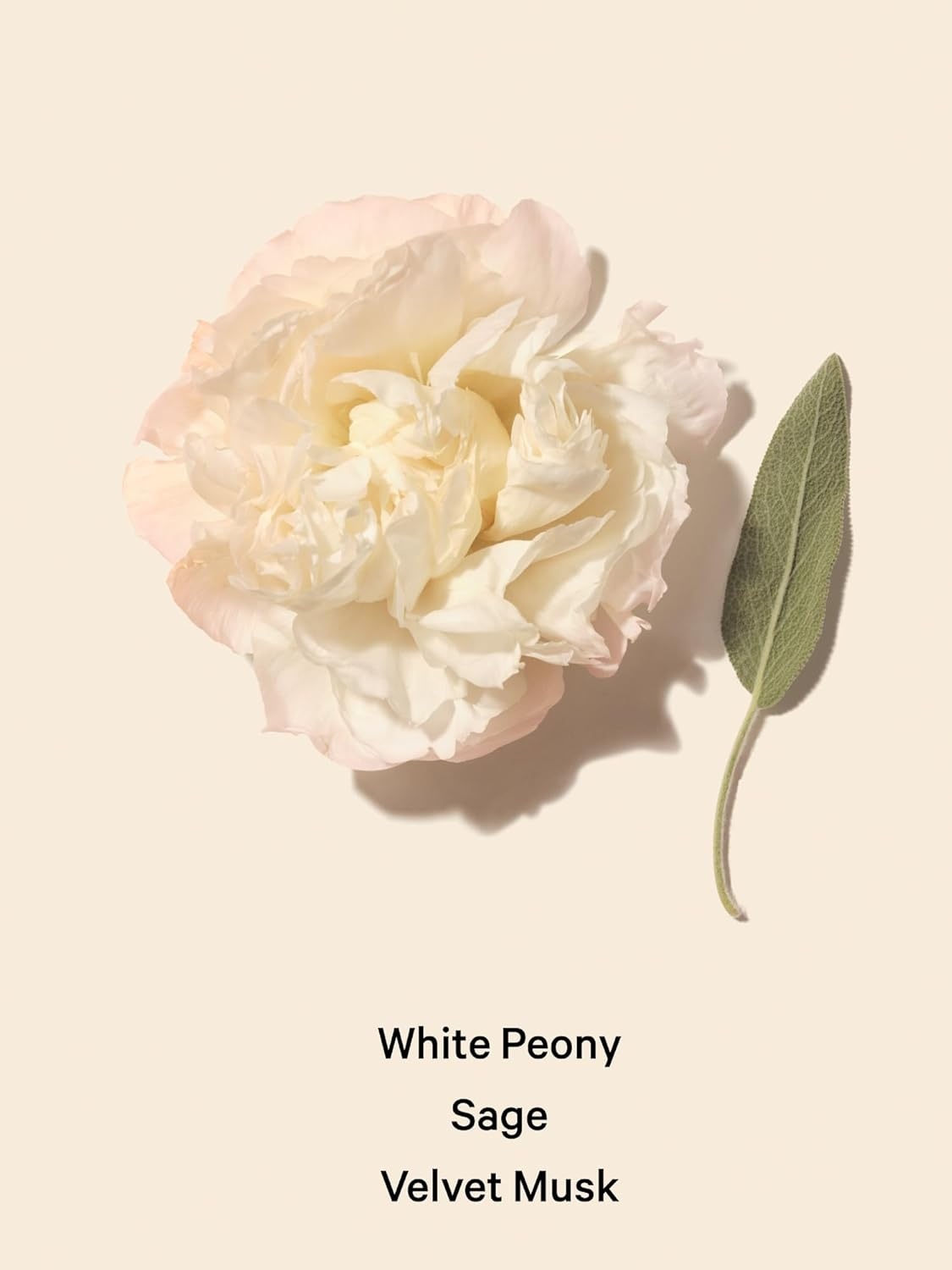 image:imageVictorias Secret Heavenly Fragrance Body Lotion Notes of Gold Musk Vanilla Sandalwood amp White Jasmine 84 ozBombshell Seduction